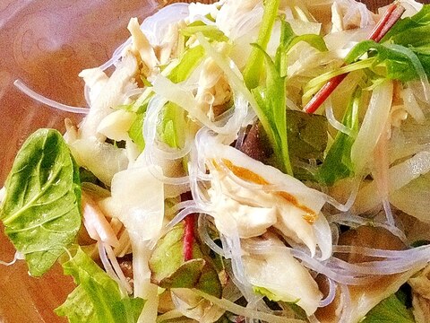 野菜たっぷりヘルシー♪「春雨と鶏ササミのサラダ」♪